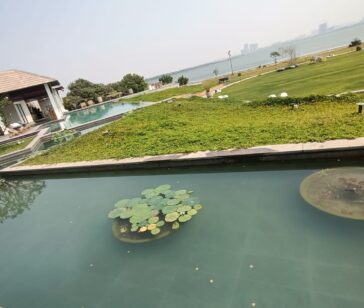 Irrigation & Drainage Systems