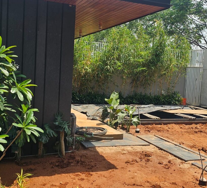 Garden Development & Renovation